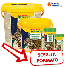 Sera reptil herbivor usato  Serra de Conti