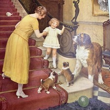 1925 bernard dog for sale  Dayton