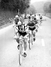 Bella fotografia originale usato  Milano