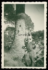 Imperia 1944 wehrmacht gebraucht kaufen  Deutschland