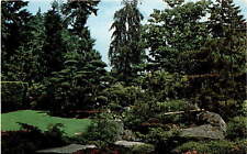 Japanese garden stone for sale  USA