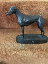 Gorgeous figure greyhound for sale  PONTYPRIDD
