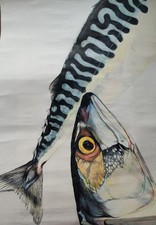 Coloured pencil study for sale  BOSTON