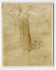 Old sepia photo for sale  COLEFORD