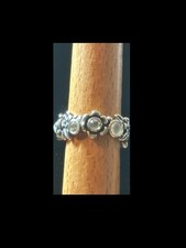Retired pandora natures for sale  Cary