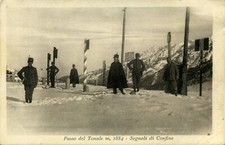 Ponte legno tonale usato  Italia