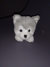 Plüschtier husky gebraucht kaufen  Gilserberg