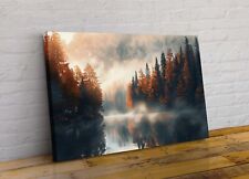 Misty mountains forest for sale  CONWY