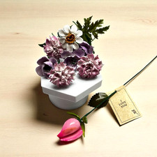 Coquina seashell flowers for sale  Arvada
