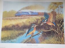 Alan ward kingfisher for sale  WOLVERHAMPTON