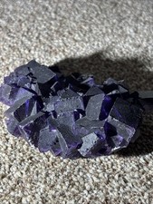 Stunning dark purple for sale  FALKIRK