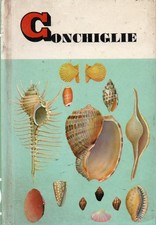 Conchiglie specie tuuto usato  Imbersago