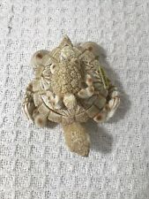 Sea turtle baby for sale  Rochester