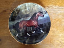 Danbury mint horse for sale  DARWEN