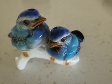 baby blue bird for sale baby blue bird for sale Enumclaw
