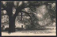 Old postcard loches d'occasion  Expédié en Belgium