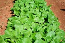 Seven top turnip for sale  Wichita