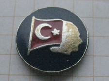 Türkei fahne ................ gebraucht kaufen  Münster