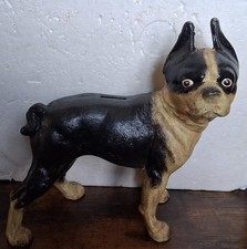 Boston terrier bull usato Boston terrier bull usato  Spedire a Italy