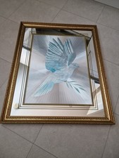 Etched glass dove for sale  GILLINGHAM