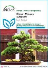 SAFLAX - Posiew - Bonsai - Modrzew Europejski - 75 Posiew na sprzedaż  Wysyłka do Poland