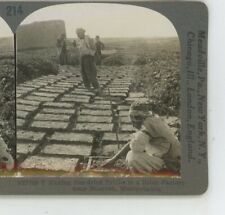 Making sun dried for sale  Bolton