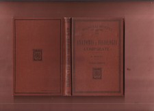 Manuale r.besta anatomia usato  Varano Borghi