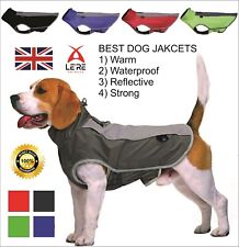 Warm pet dog for sale  PETERBOROUGH