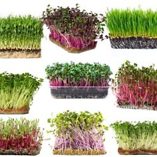 Organic srouting seeds for sale  SWADLINCOTE