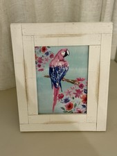 Framed parrot art for sale  Bay Minette