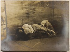 Woman artistic dog d'occasion  Expédié en Belgium