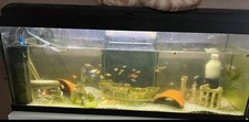 Vend aquarium 100l d'occasion  Annezin