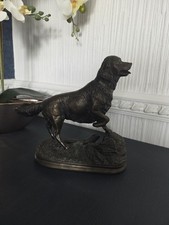 Golden retriever dog for sale  NEWCASTLE UPON TYNE