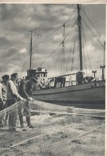 Ddr stsee insel gebraucht kaufen  Deutschland