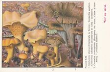 Aa398 image chromo d'occasion  Reims
