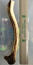 Split antler dog for sale  NEWPORT