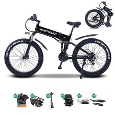 Zoll elektrofahrrad 1000w gebraucht kaufen  Bargteheide