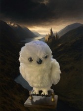 Harry potter enchanting for sale  CREWE