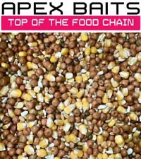 Maple maize seed for sale  ATHERSTONE