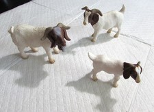 boer goat for sale boer goat for sale Jonesboro