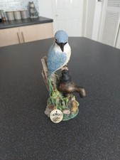 Boxed kingfisher leonardo for sale  TELFORD
