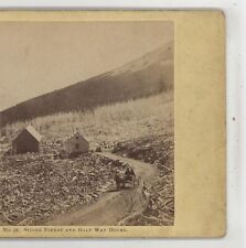 Carrinho de cavalo Halfway House Mt Washington NH John P. Soule Stereoview c1860 comprar usado  Enviando para Brazil