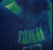 Nirvana nevermind live gebraucht kaufen  Rheinböllen