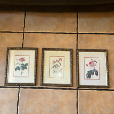 Roses vintage print for sale  Hollywood
