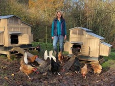 Clever chicken coop for sale  LIVERPOOL