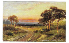 Surrey postcards near for sale  SKEGNESS