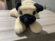 Pug puppy dog for sale  INVERNESS
