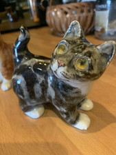 Sweetest tabby kitten for sale  BRIDGEND
