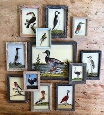 Bird reverse glass for sale  SEVENOAKS