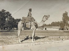 Original photographs..india ad for sale  ROCHESTER